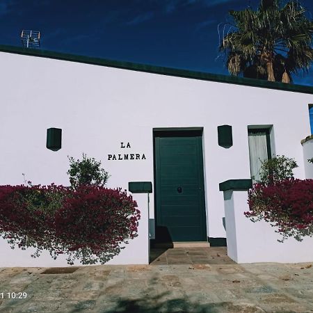 Casa La Palmera - Solo Familias Y Parejas Коніль-де-ла-Фронтера Екстер'єр фото