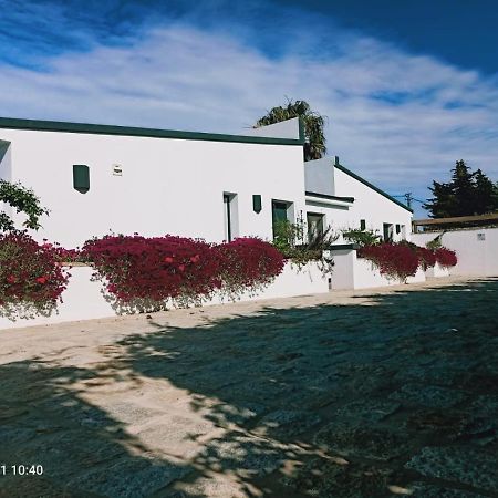 Casa La Palmera - Solo Familias Y Parejas Коніль-де-ла-Фронтера Екстер'єр фото