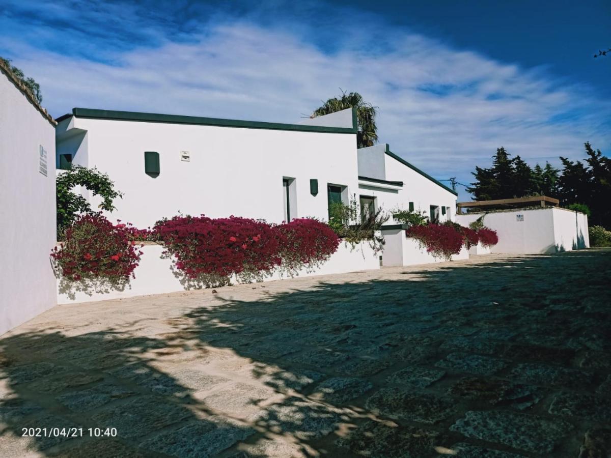 Casa La Palmera - Solo Familias Y Parejas Коніль-де-ла-Фронтера Екстер'єр фото